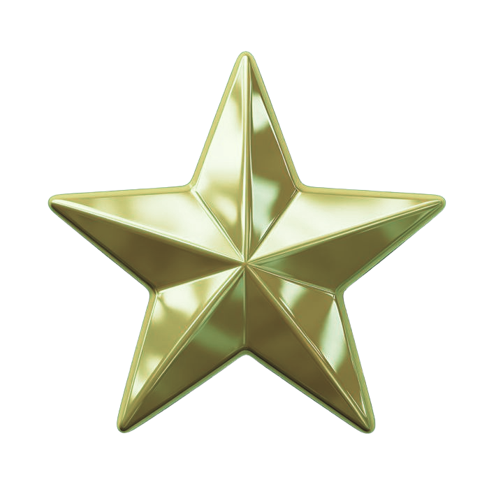 Foster long-lasting partnerships with our clients based on trust and satisfaction